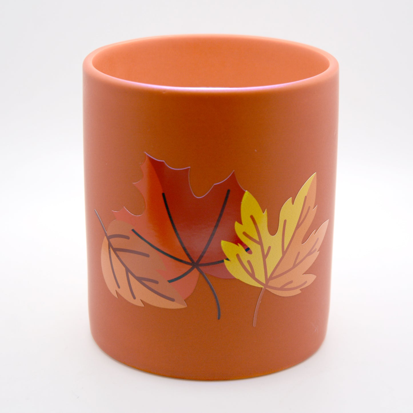 Fall Leaves